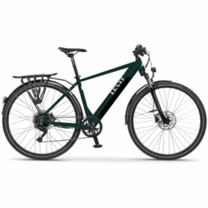 LEVIT MUSCA e-bike green gray pearl 19''