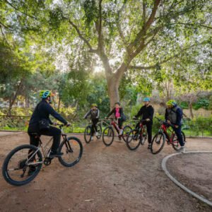 Archanes tour - Taste the wine - Medium difficulty